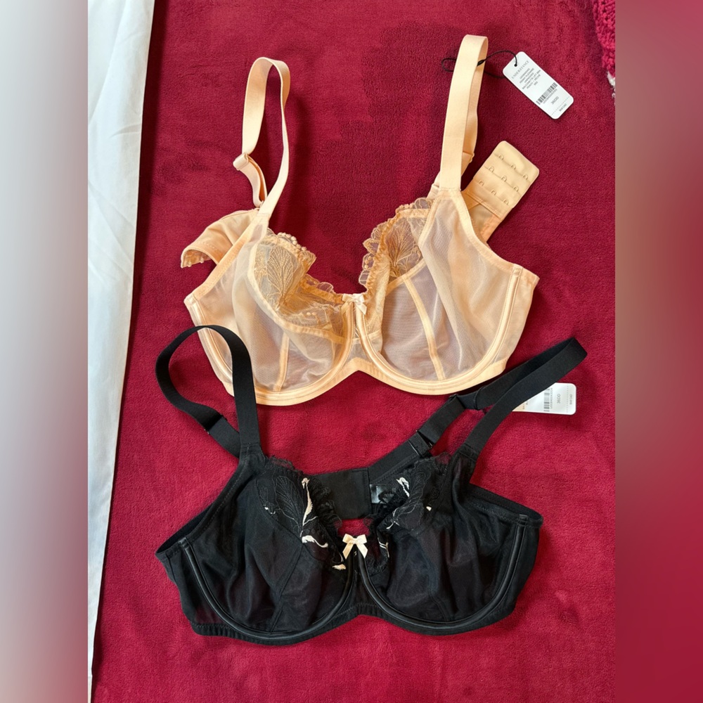 Understance Black and Cream Sheer Lace Bras Intimates